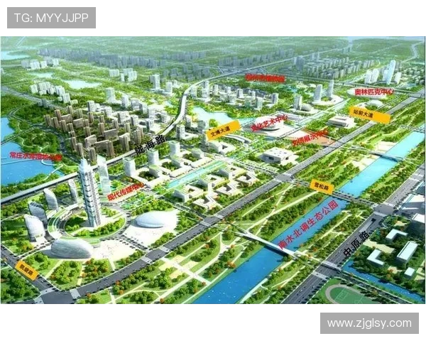 武汉羽毛球队崛起之路：从默默无闻到总决赛的辉煌历程