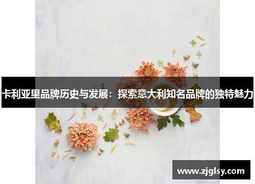 卡利亚里品牌历史与发展：探索意大利知名品牌的独特魅力