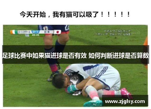 足球比赛中如果猫进球是否有效 如何判断进球是否算数